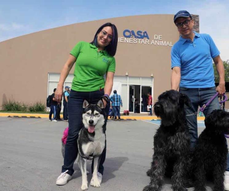 Hará SN jornada masiva de esterilización responsable