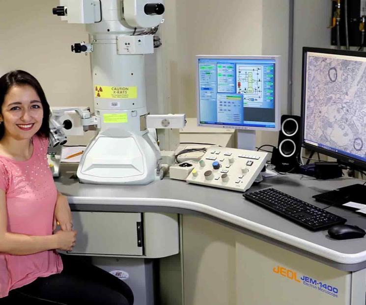 Estudia reacciones del cerebro ante el miedo