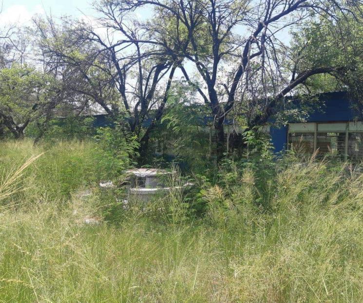 Están en pésimas condiciones escuelas públicas