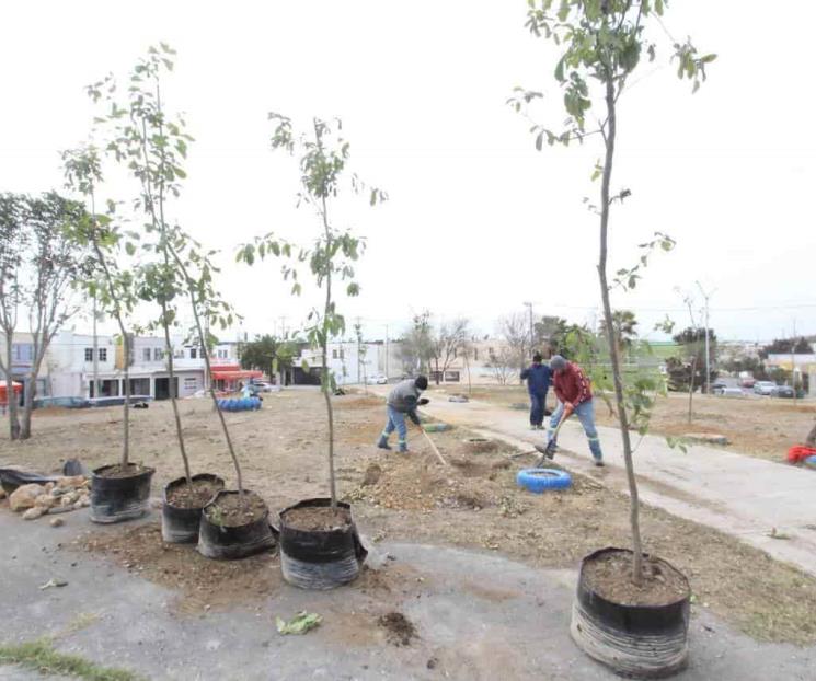 Supera Apodaca meta de reforestación