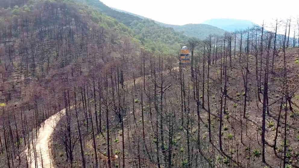 Tendrá la UANL un Bosque Escuela Tendrá la UANL un Bosque Escuela