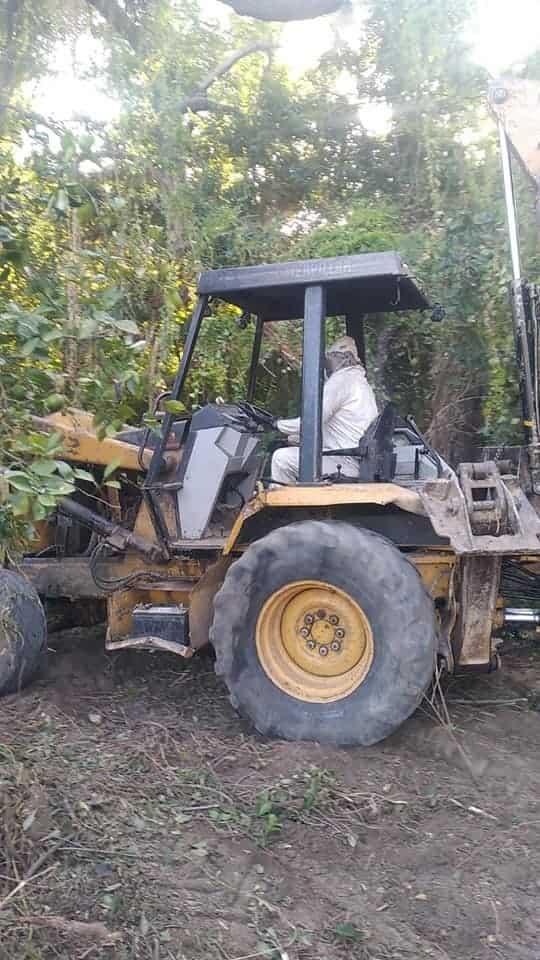Causa pánico ataque de abejas Causa pánico ataque de abejas
