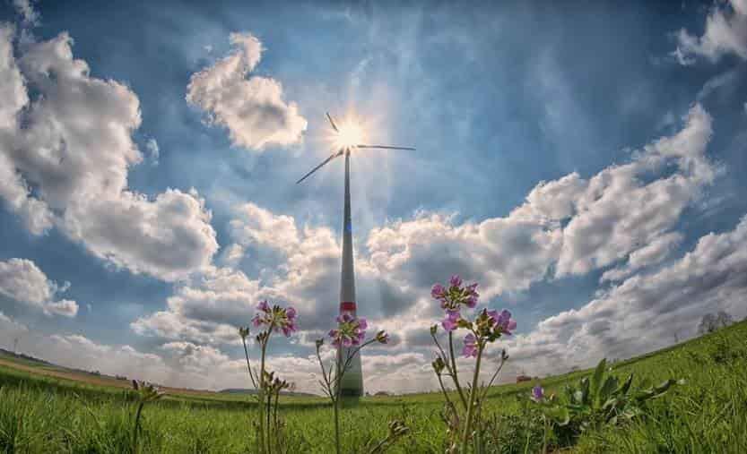 BDAN, por más impulso a proyectos ambientales BDAN, por más impulso a proyectos ambientales