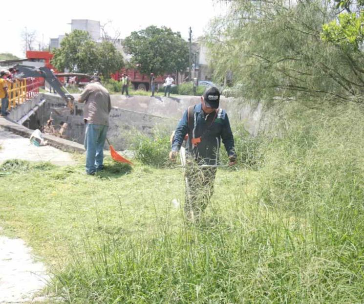 Limpian arroyo de Monteverde en Juárez
