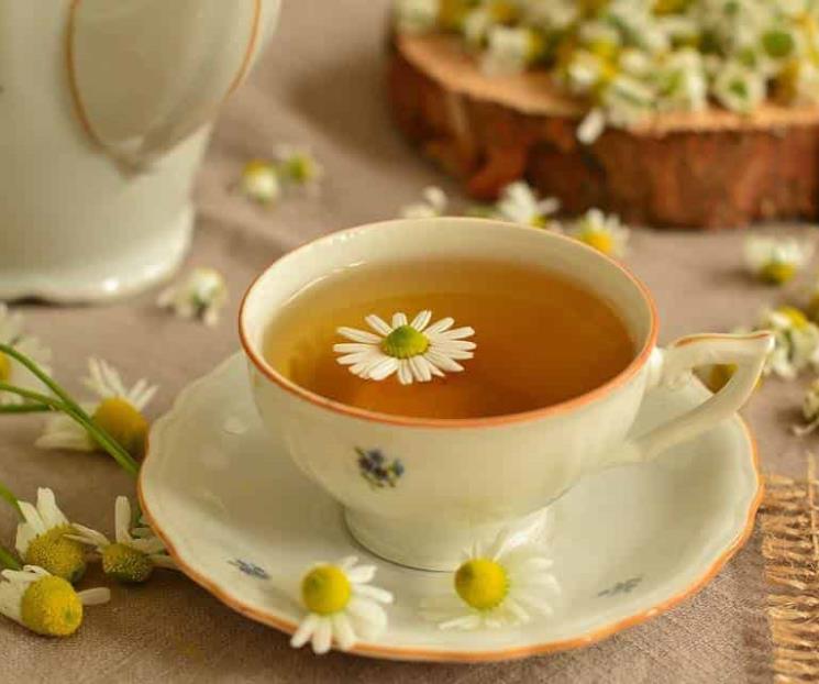 Conoce cuáles son los usos curativos de la manzanilla Conoce cuáles son los usos curativos de la manzanilla