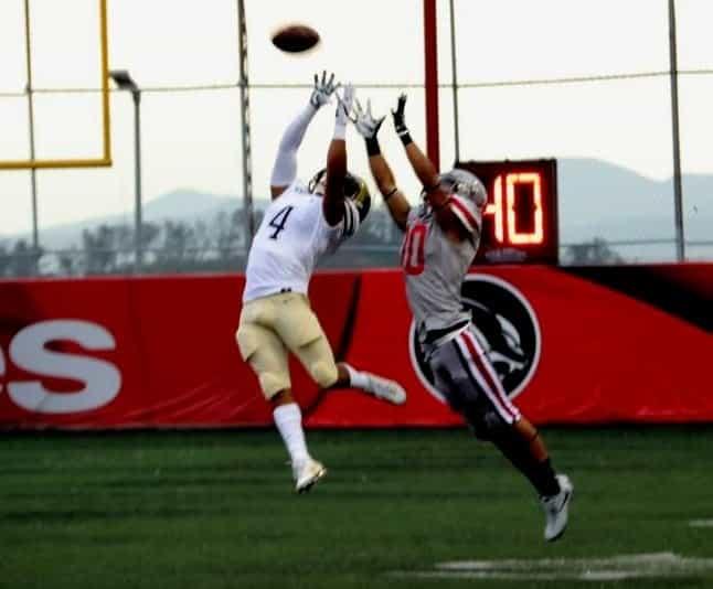 Arrancaría Onefa en noviembre