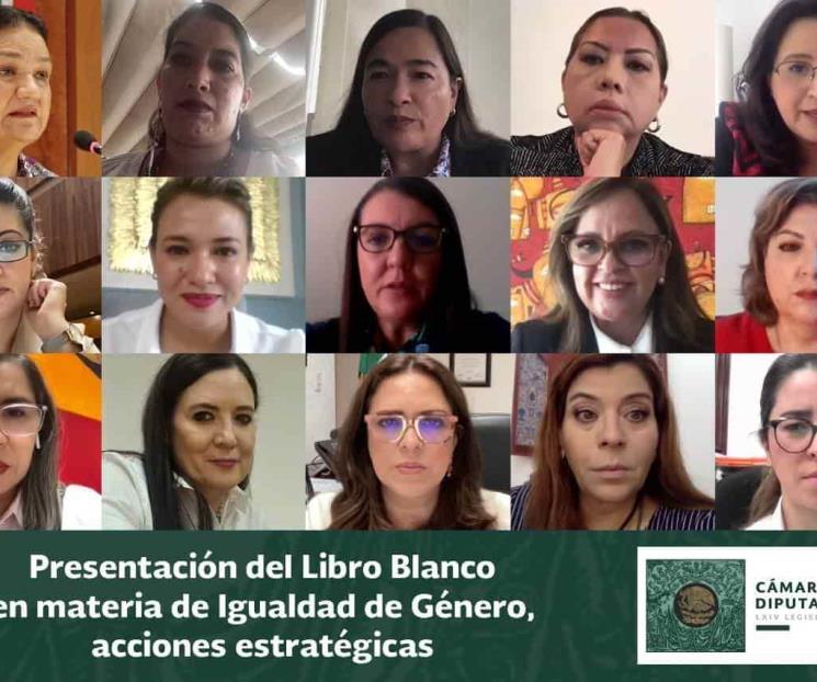 Aprobaron importantes leyes a favor de igualdad sustantiva Aprobaron importantes leyes a favor de igualdad sustantiva