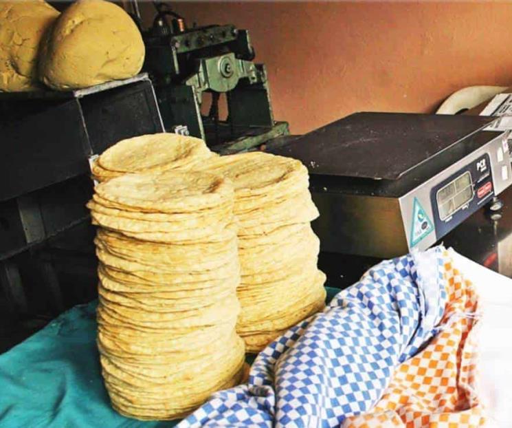 Tortillas no dan tregua y suben 15.1% en agosto