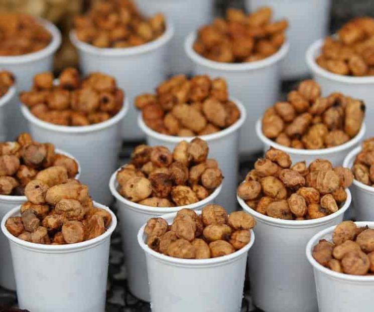 La horchata tradicional está hecha con chufa La horchata tradicional está hecha con chufa
