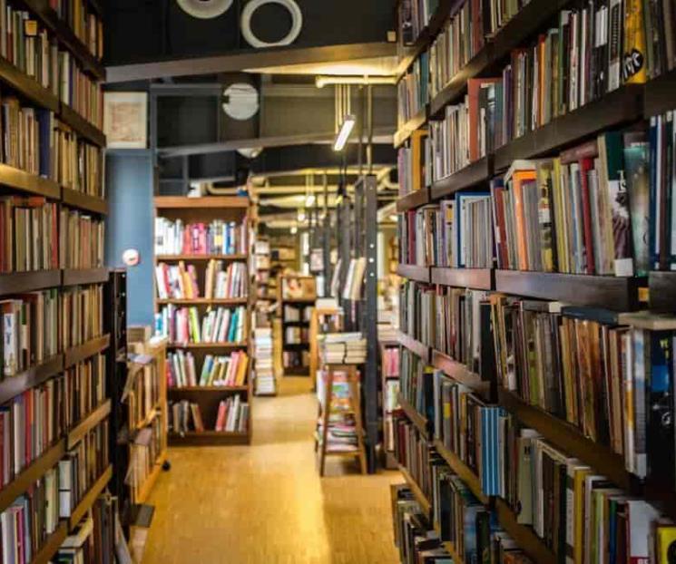 Ven más vacíos en recién publicada Ley de Bibliotecas Ven más vacíos en recién publicada Ley de Bibliotecas