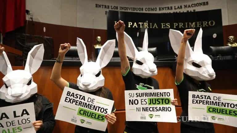 Sanciones de 14 años de cárcel por pruebas en animales