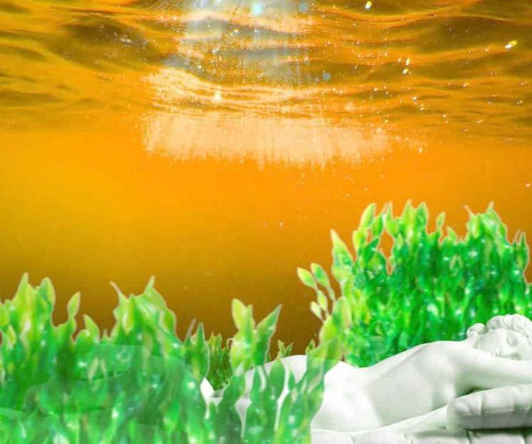 Buscan una alternativa saludable contra rayos UV