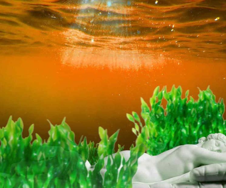 Buscan alternativa saludable con microalgas contra rayos UV