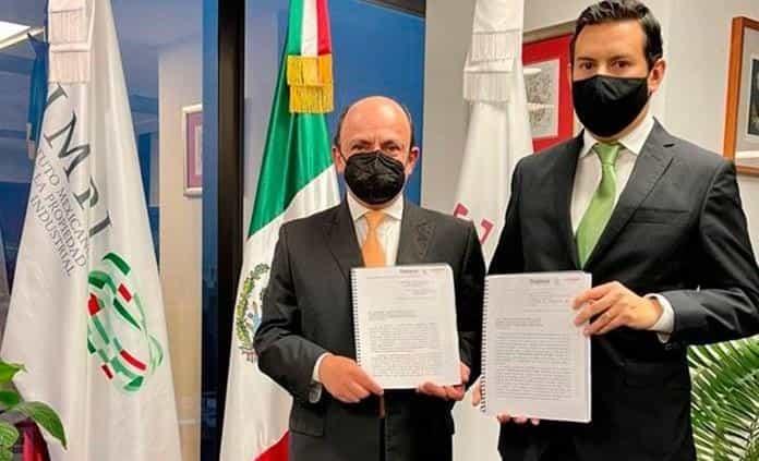 Solicitan a IMPI proteger al gusano de seda y tapetes