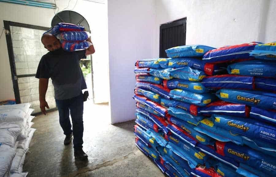 Donan alimento para mascotas