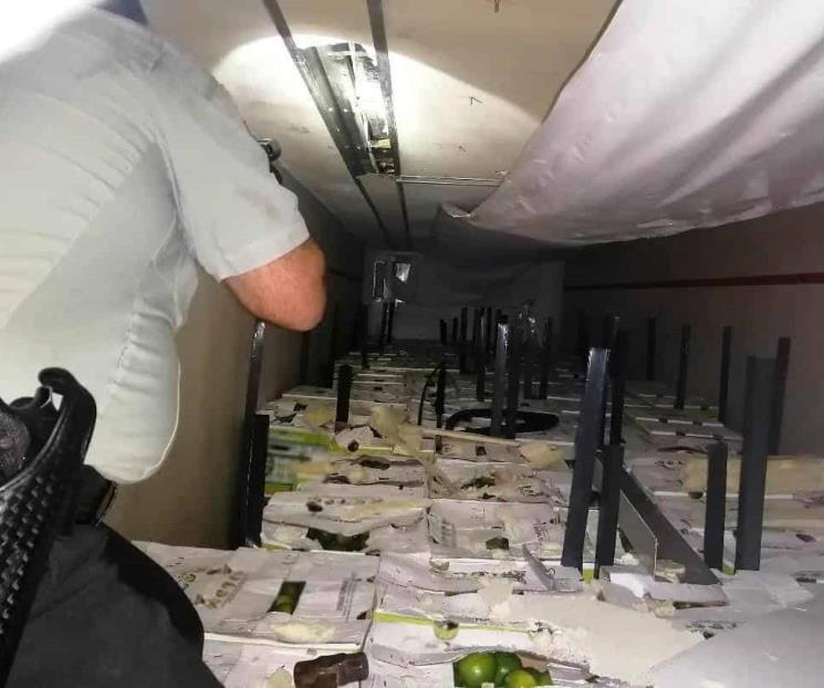 Aseguran 250 kilos de droga