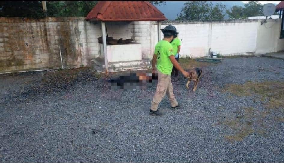 Encontraron un hombre asesinado a golpes