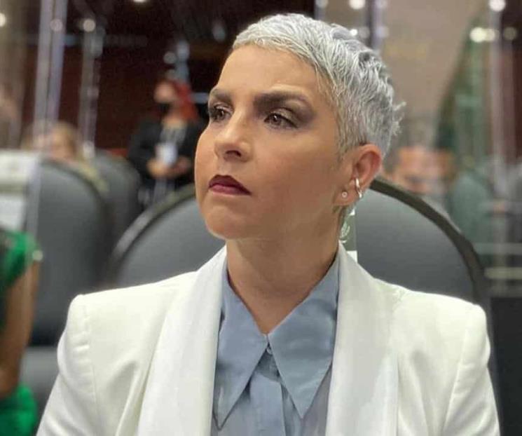 Federica Quijano, de Kabah, va por la Comisión de Cultura