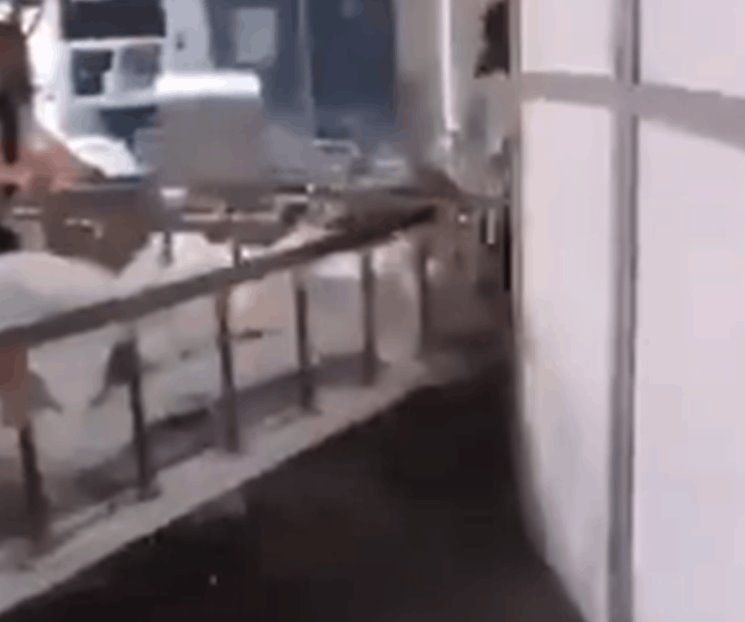 Piden investigar posible negligencia en muertes