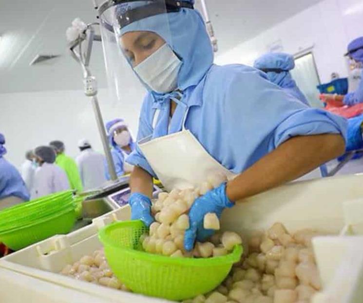 Salud y seguridad no pueden quedar al margen de la economía