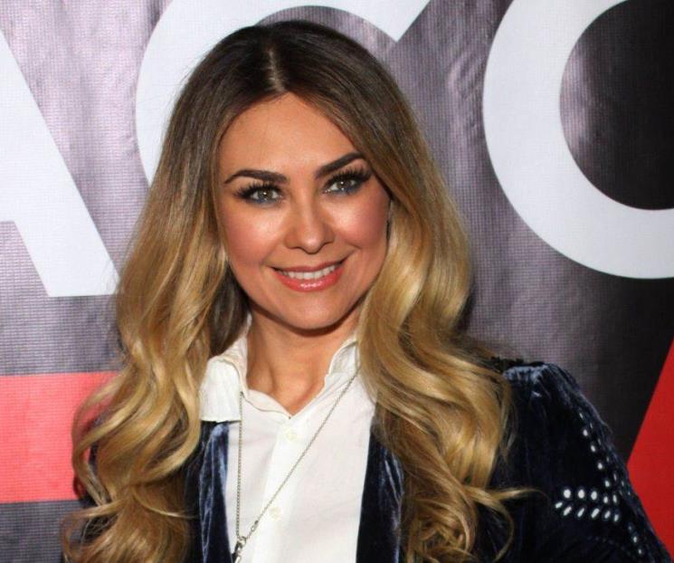 Así celebrará el hijo de Luis Miguel sus 15 años