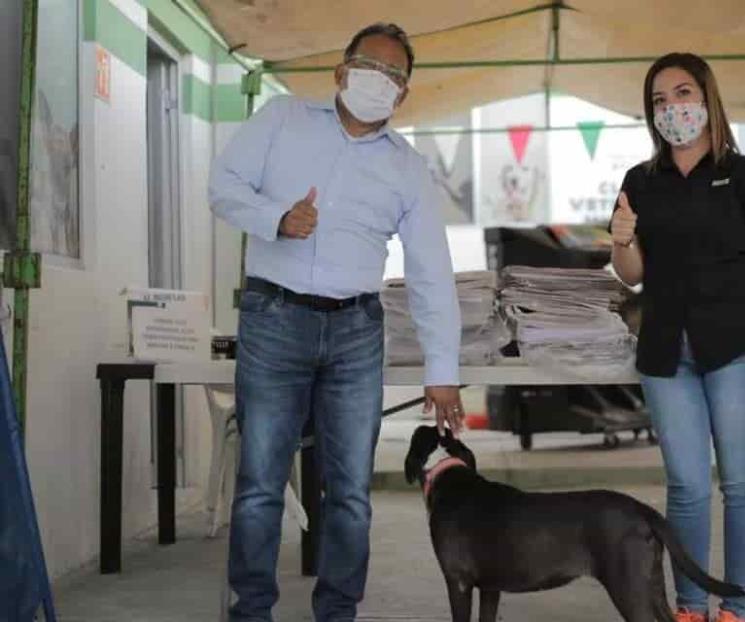 Se compromete Mijes a trabajar en pro del bienestar animal