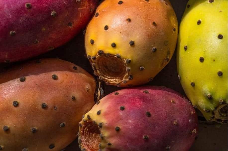 Aprende a preparar colonche Aprende a preparar colonche