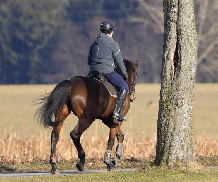 Internet alemán contra caballo,lo lento de red rural germana