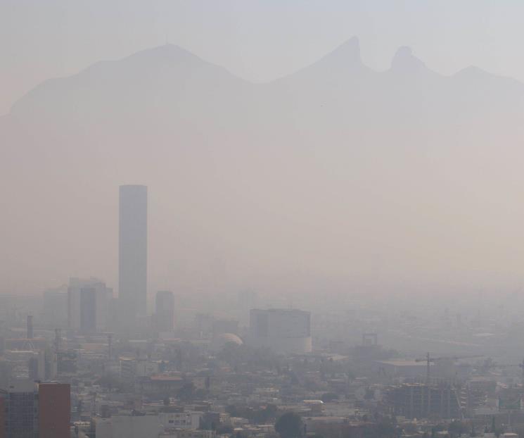 Instruyen a ciudadanía cómo realizar denuncia ambiental