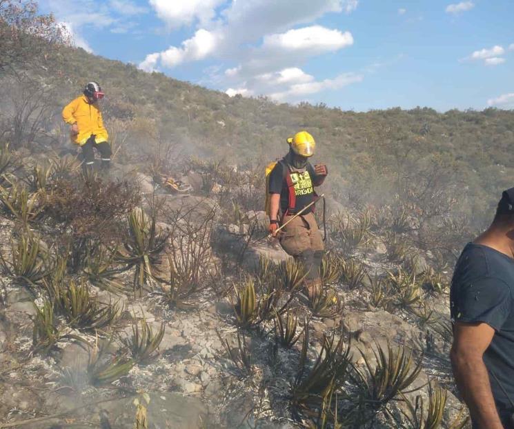 Combaten incendio en Cerro de las Mitras