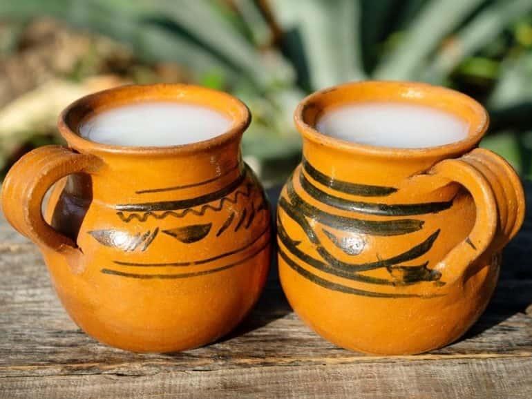 Cinvestav vela por la conservación del buen pulque