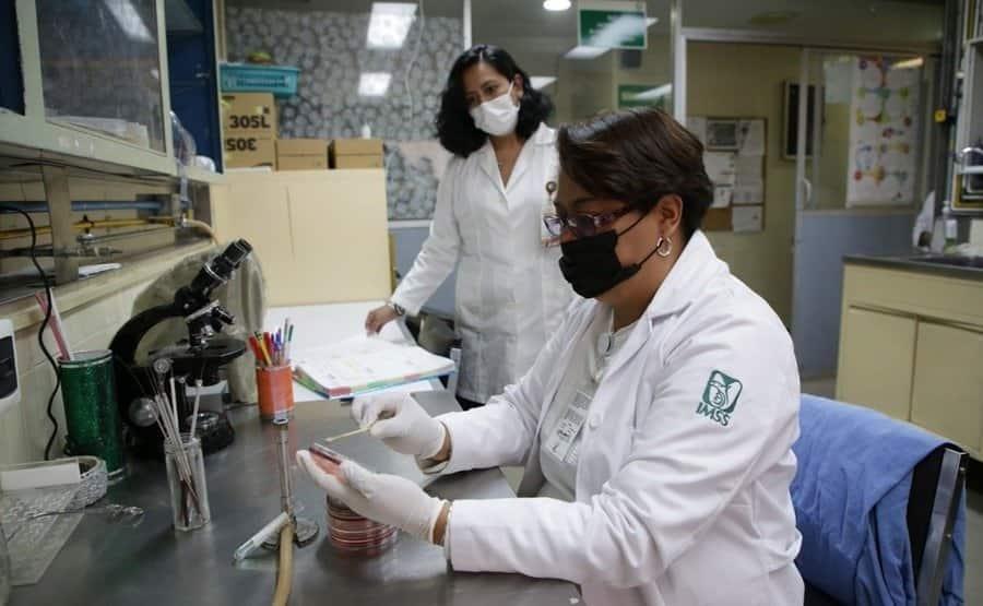 Licita IMSS sus patentes