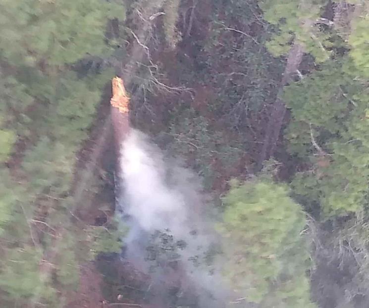 Combate Protección Civil incendio forestal en Allende