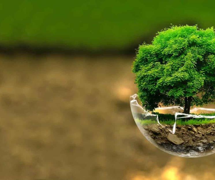 Otro país, desde la ecología