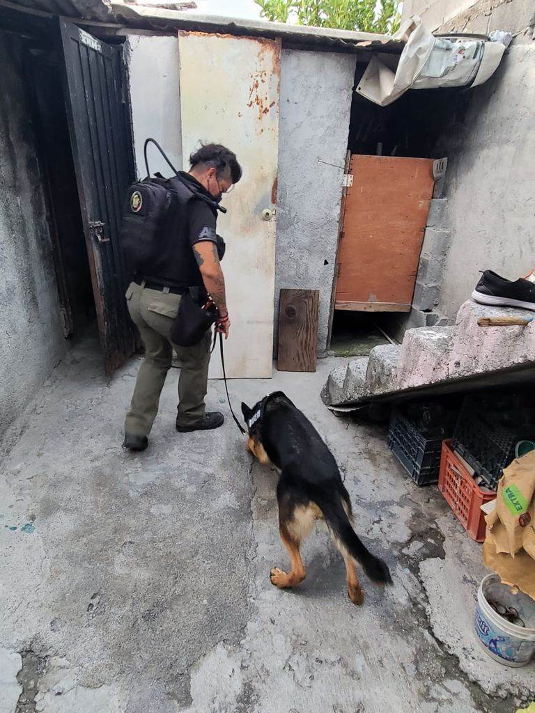 Arrestaron a dos personas y aseguraron droga, así como un arma de fuego, en dos cateos