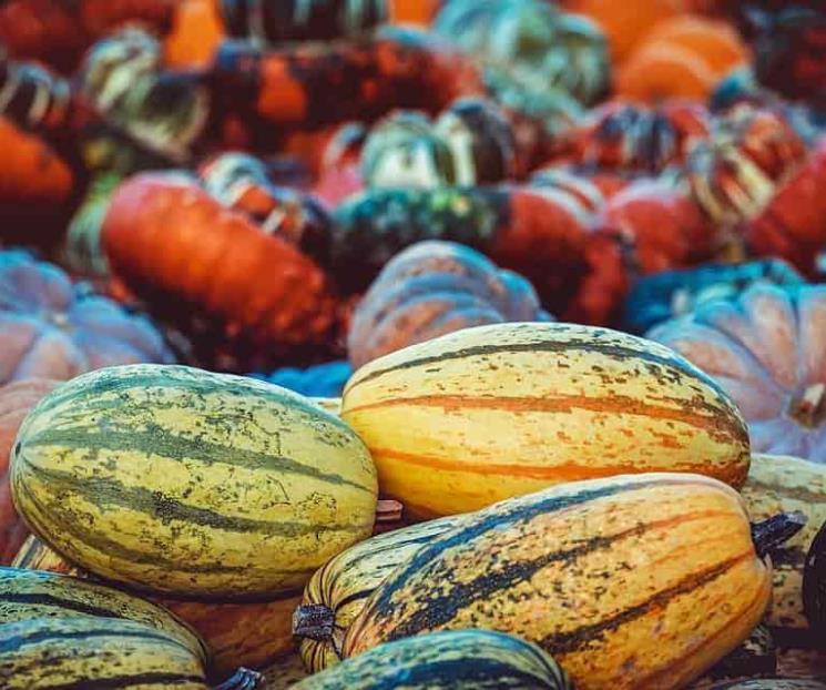 Frutas y verduras que debemos consumir durante el otoño
