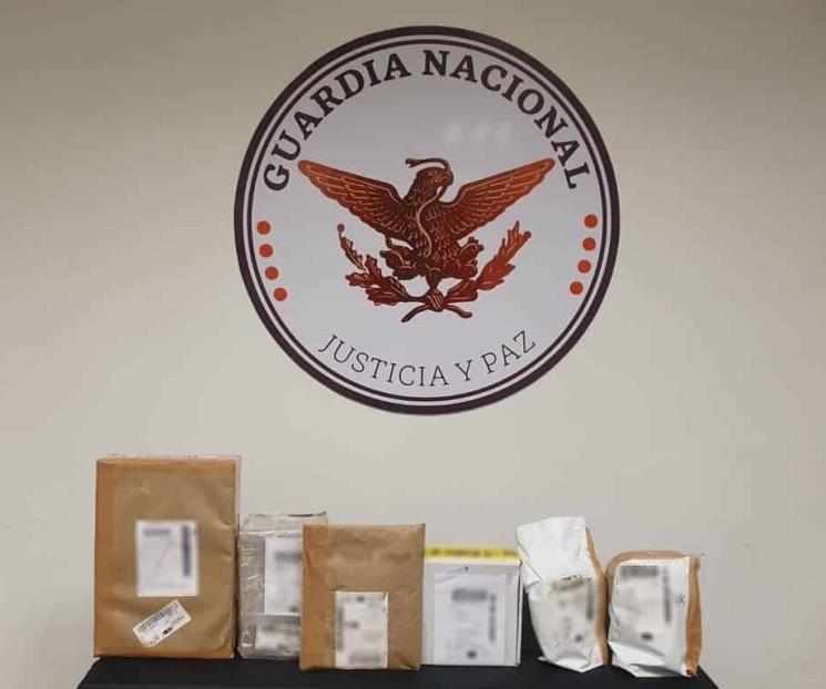 Decomisan droga en paquetería en Santa Catarina