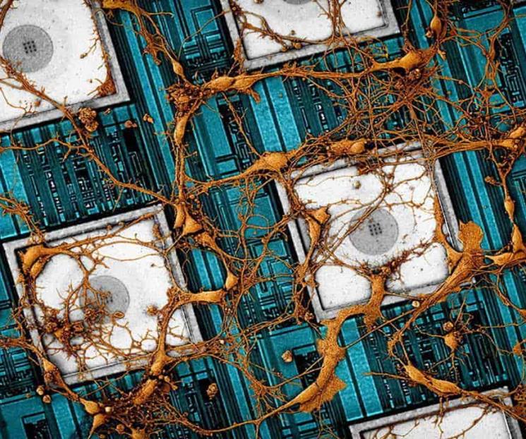 Samsung quiere «copiar y pegar» las conexiones neuronales