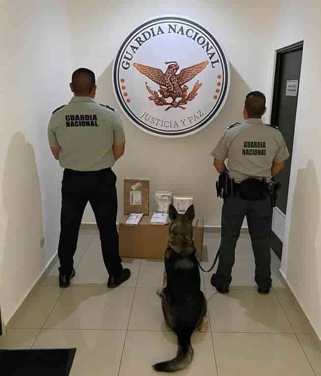 La Delincuencia Organizada, está utilizando una empresa de mensajería, para enviar droga a diversos estados