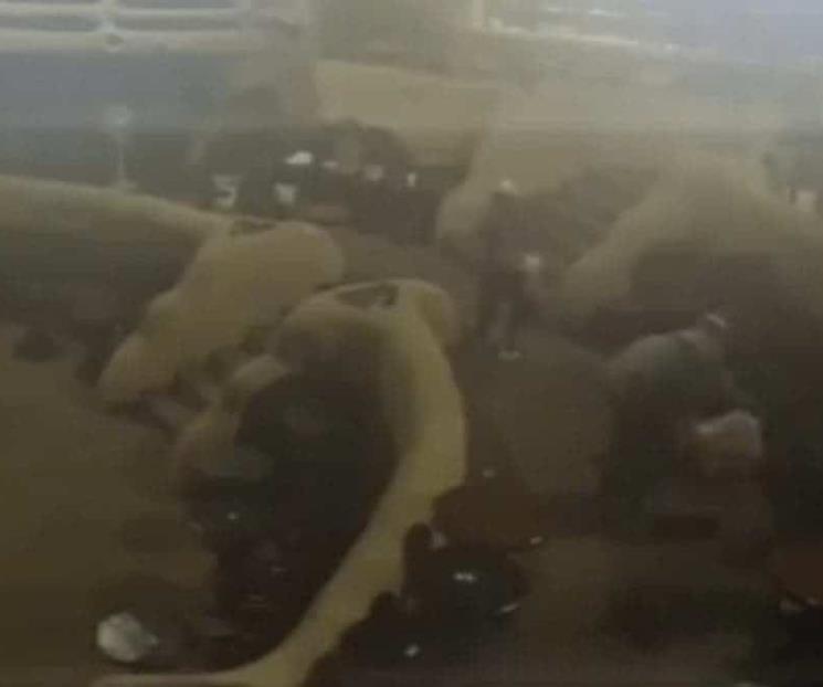 Difunden imágenes de presuntos incendiarios
