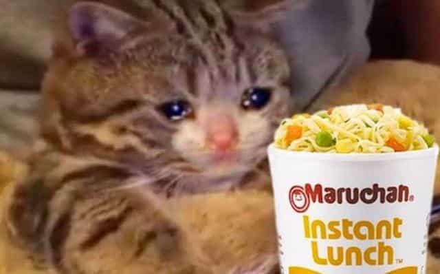 Usuarios reclaman con memes retiro de sopa Maruchan