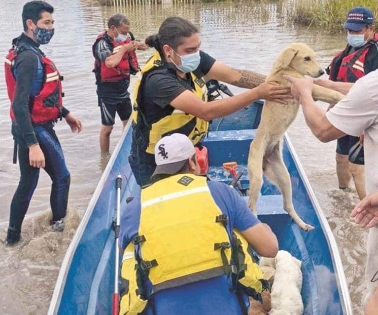 Pega lluvia a cientos en Jalisco y Guanajuato