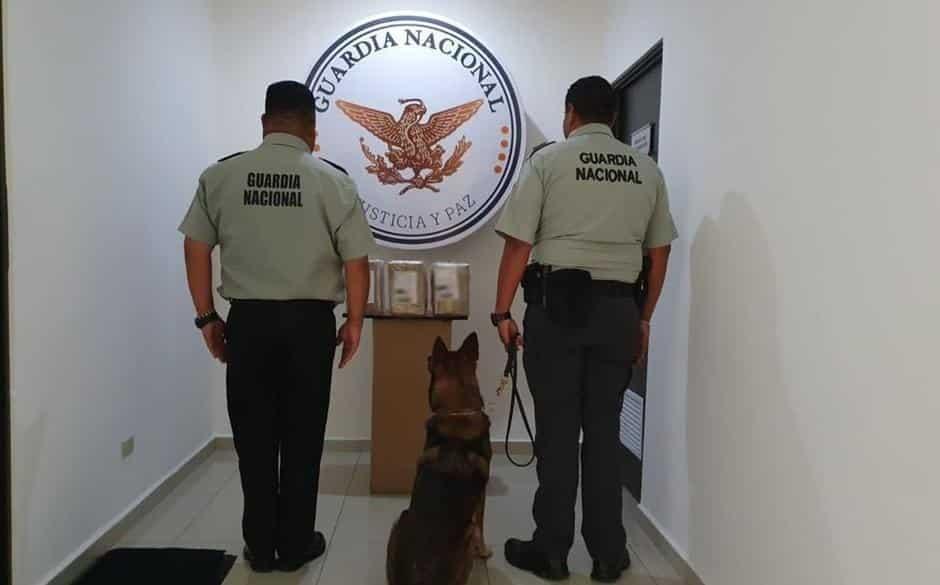 Aseguran droga en paquetería