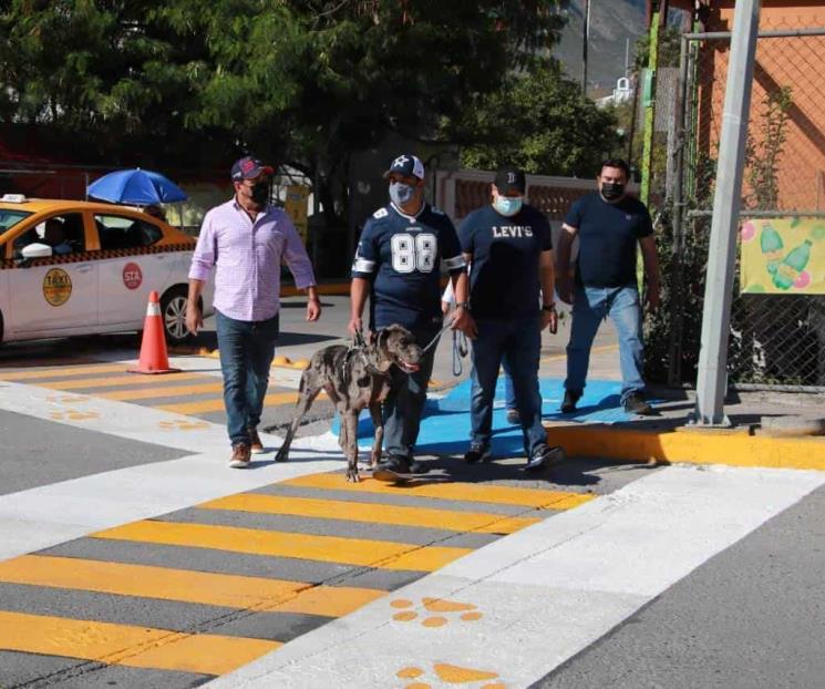 Contemplan a animales en plan de movilidad de SC