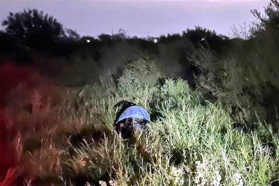Unos perros callejeros descubrieron el cuerpo de una persona que fue ejecutada y abandonada dentro de un tambo