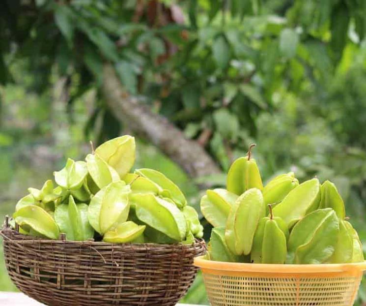 El carambolo tiene estos beneficios para tu salud