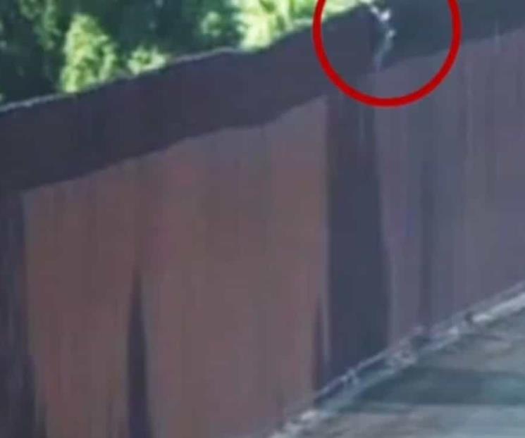 Rescatan a menor abandonada por traficante en muro