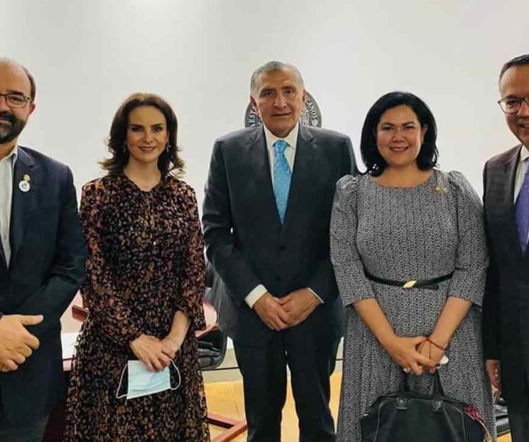 Ofrece grupo plural de senadores votos a reforma energética