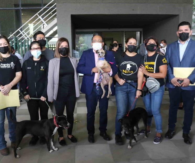 Presenta Mijes iniciativa para proteger animales