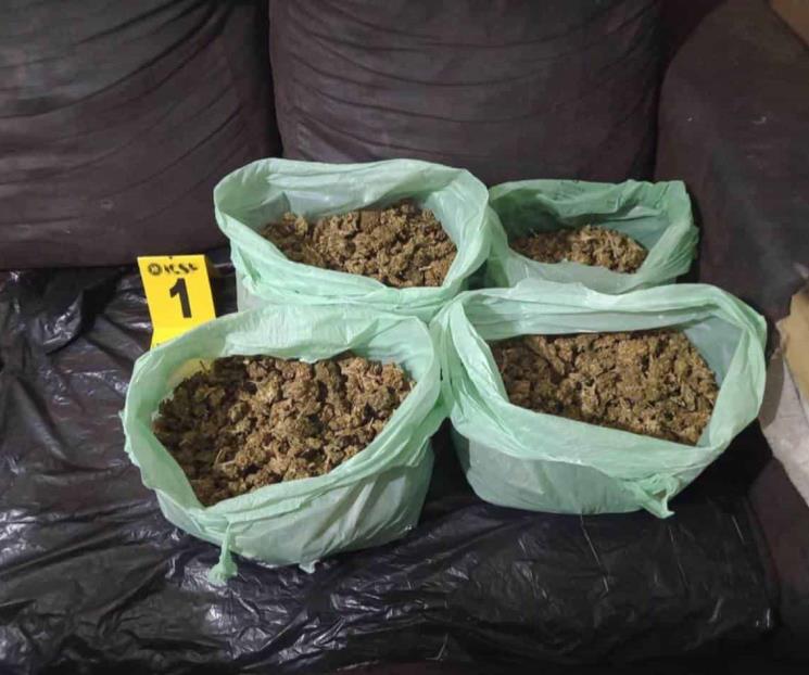 Detienen a 9 tras cateos Detienen a 9 tras cateos